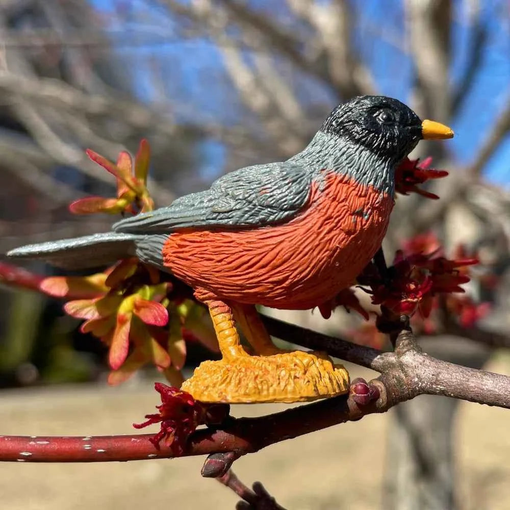 Safari Ltd. | Backyard Birds Toy Figures