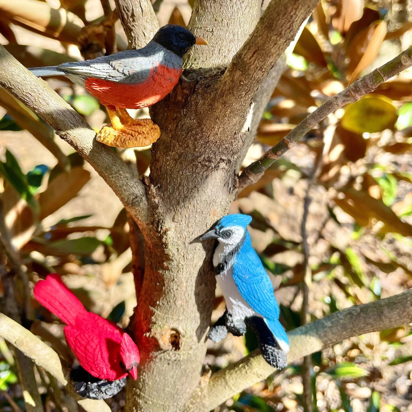 Safari Ltd. | Speelfiguren Achtertuin Vogels