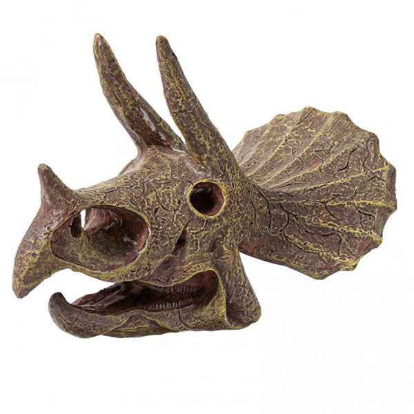 Buki uitgraafset dinosaurusschedel Triceratops
