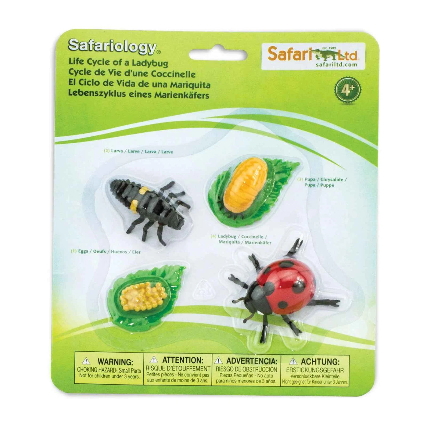 Safari Ltd. | Levenscyclus Van Een Lieveheersbeestje