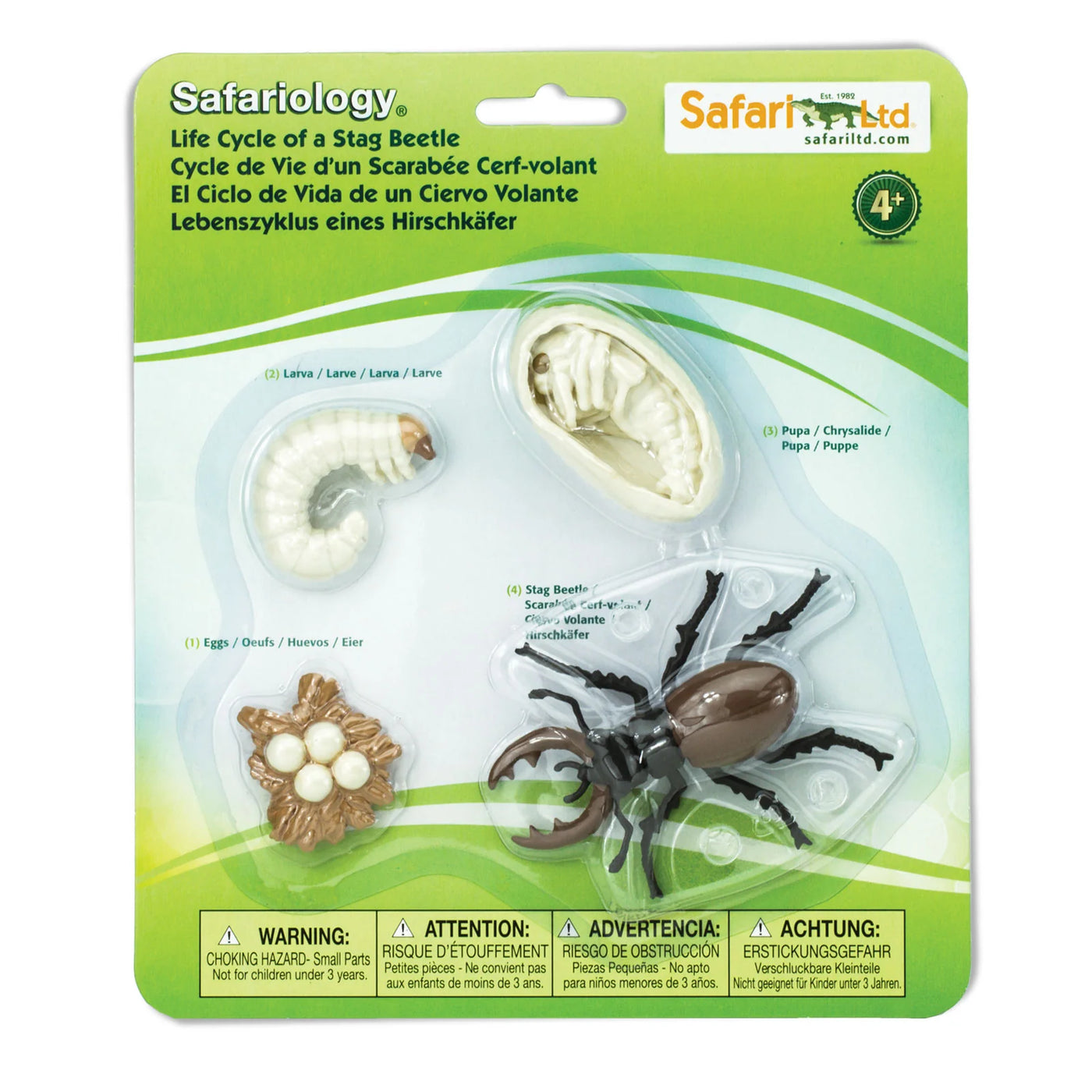 Safari Ltd. | Levenscyclus Van Een Hertkever