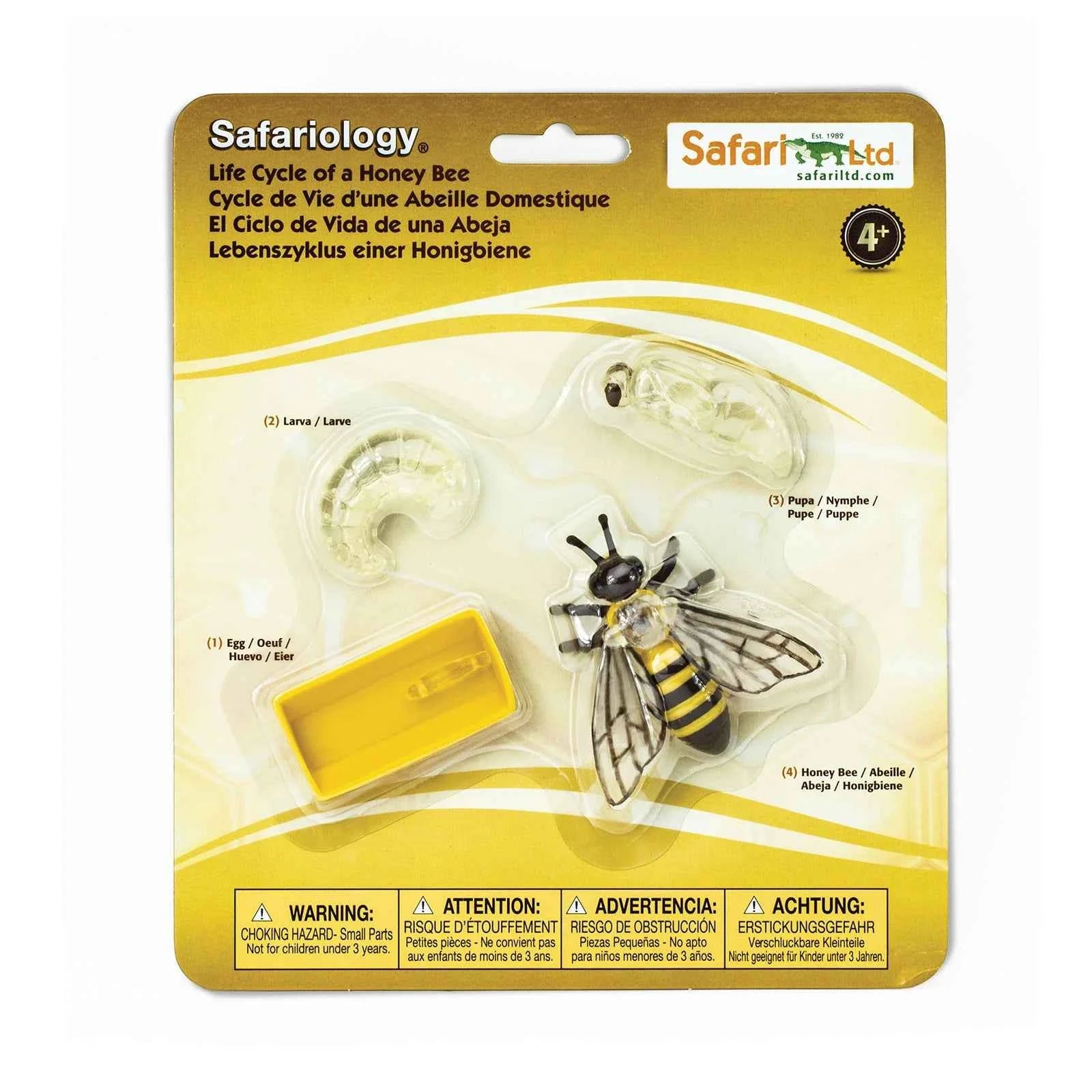 Safari Ltd. | Levenscyclus Van Een Honingbij