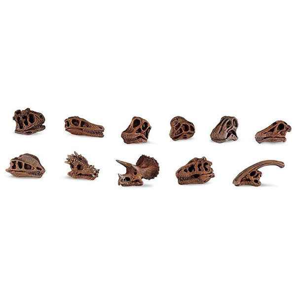 Safari Ltd. | Dinosaur Skull Toy Figurines