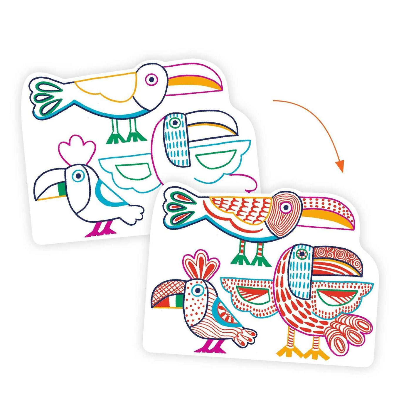 Djeco | Hidden Colouring Pages Wild Animal Families