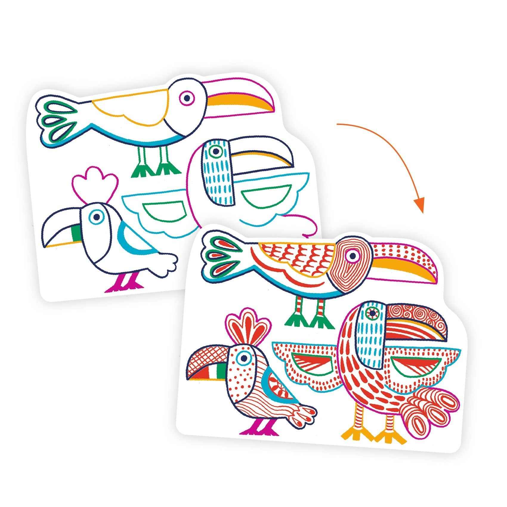Djeco | Hidden Colouring Pages Wild Animal Families