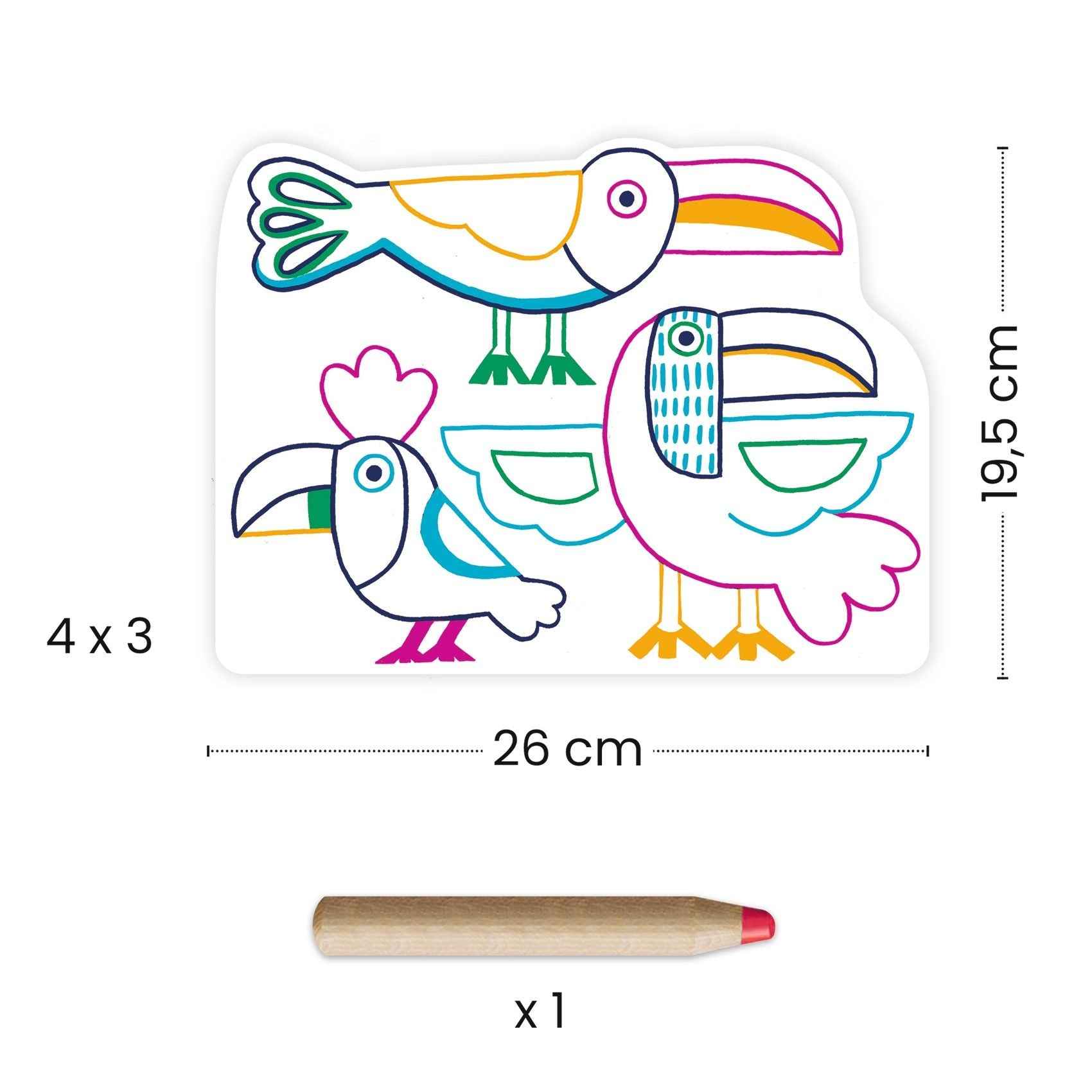 Djeco | Hidden Coloring Pages: Wild Animal Families