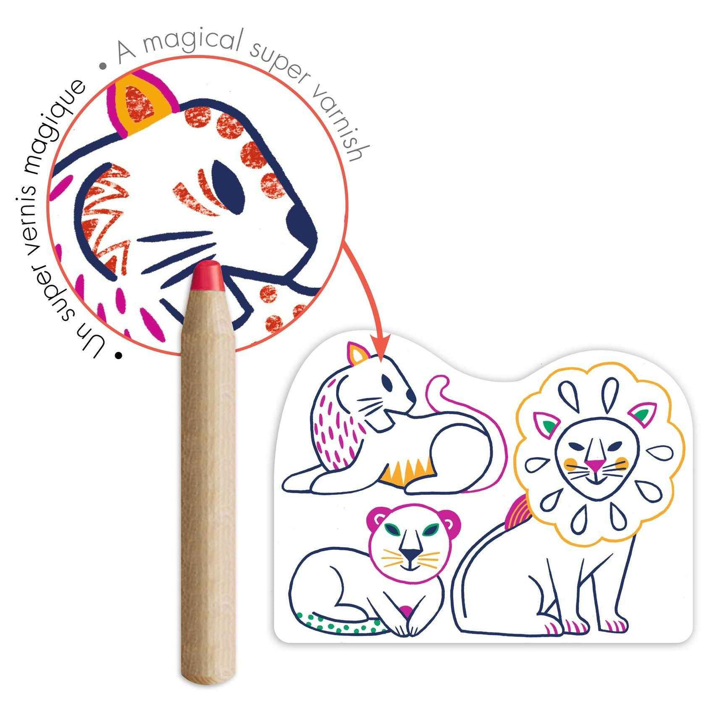 Djeco | Hidden Colouring Pages Wild Animal Families