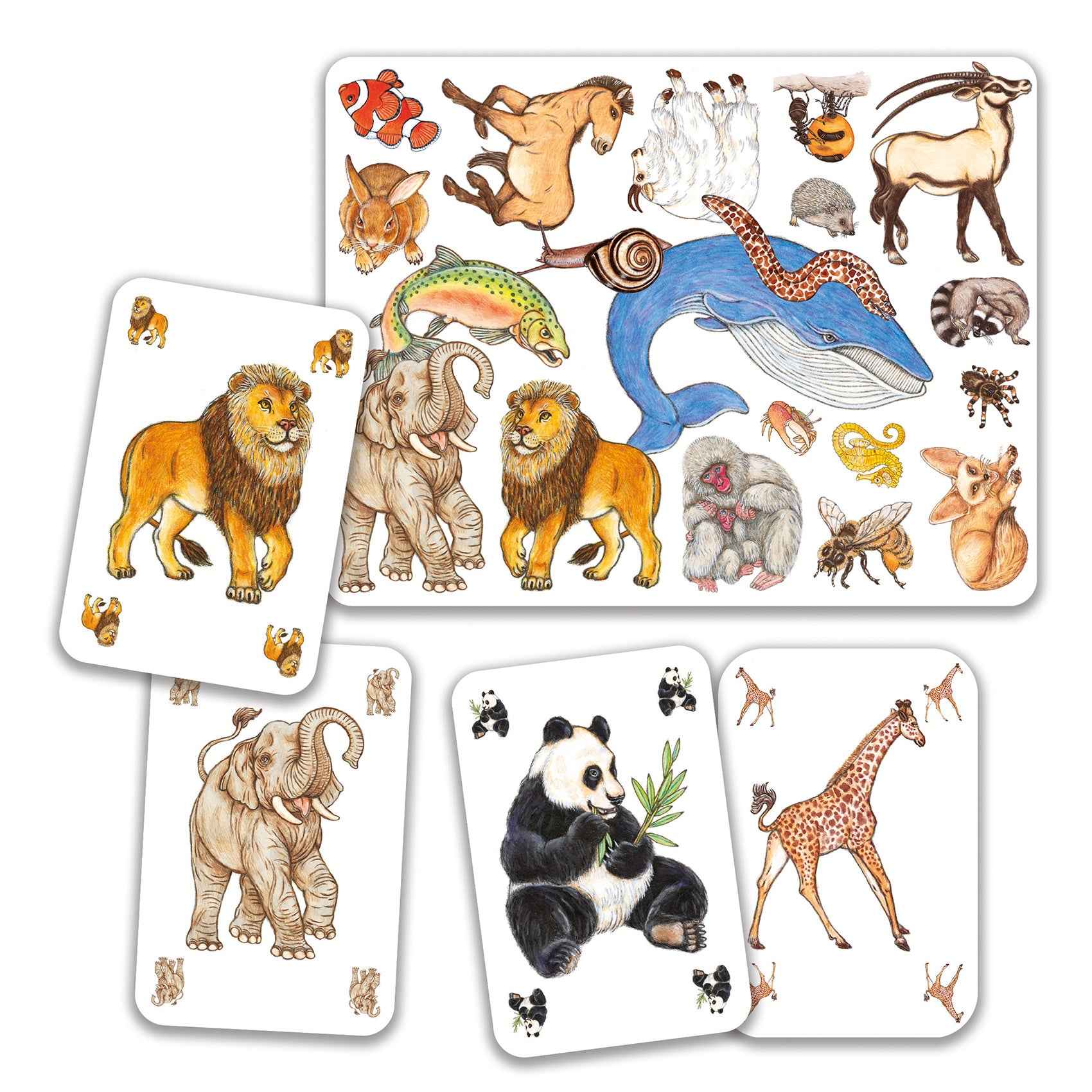 Djeco Zanimatch card game ages 5+