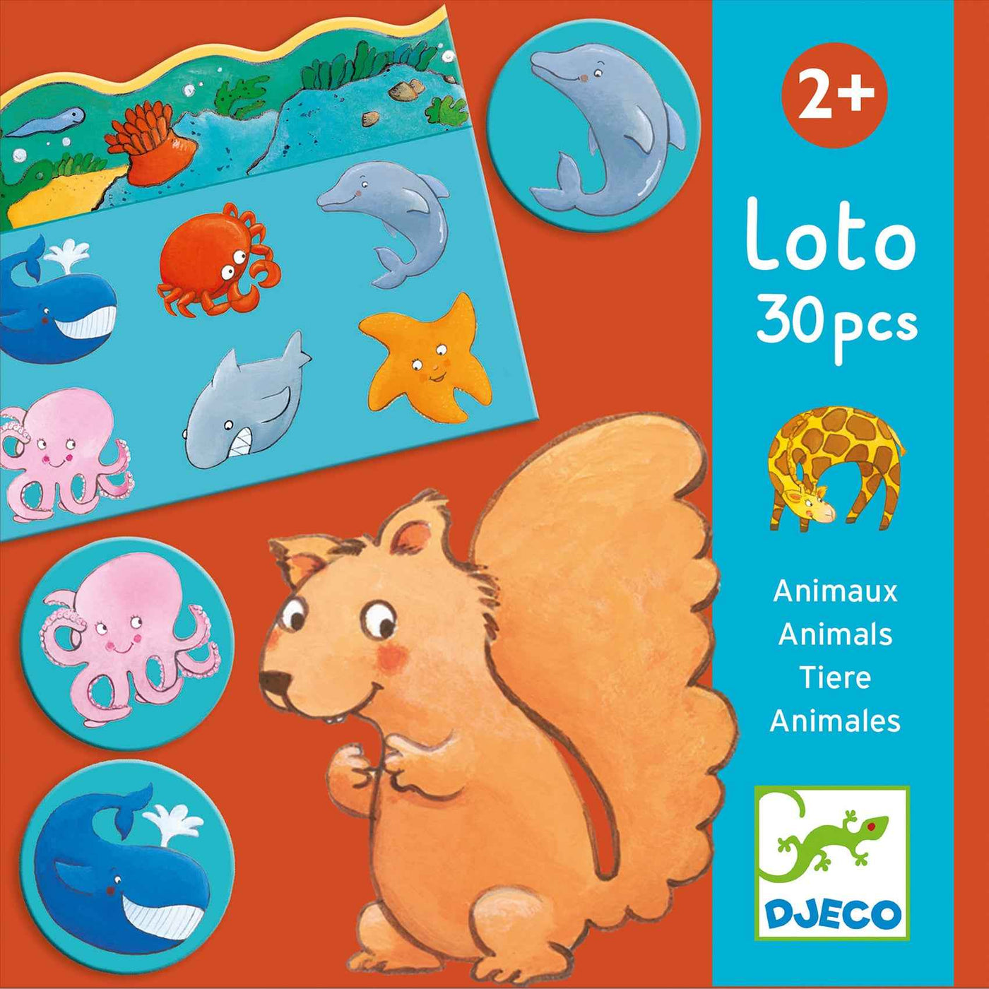 Djeco | Lotto 30 Pieces - Animals
