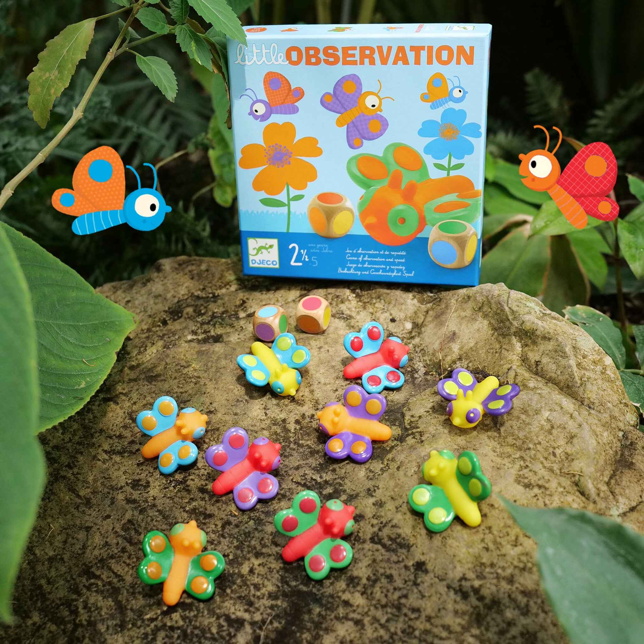 Djeco | Little Observation - Cooperative Game