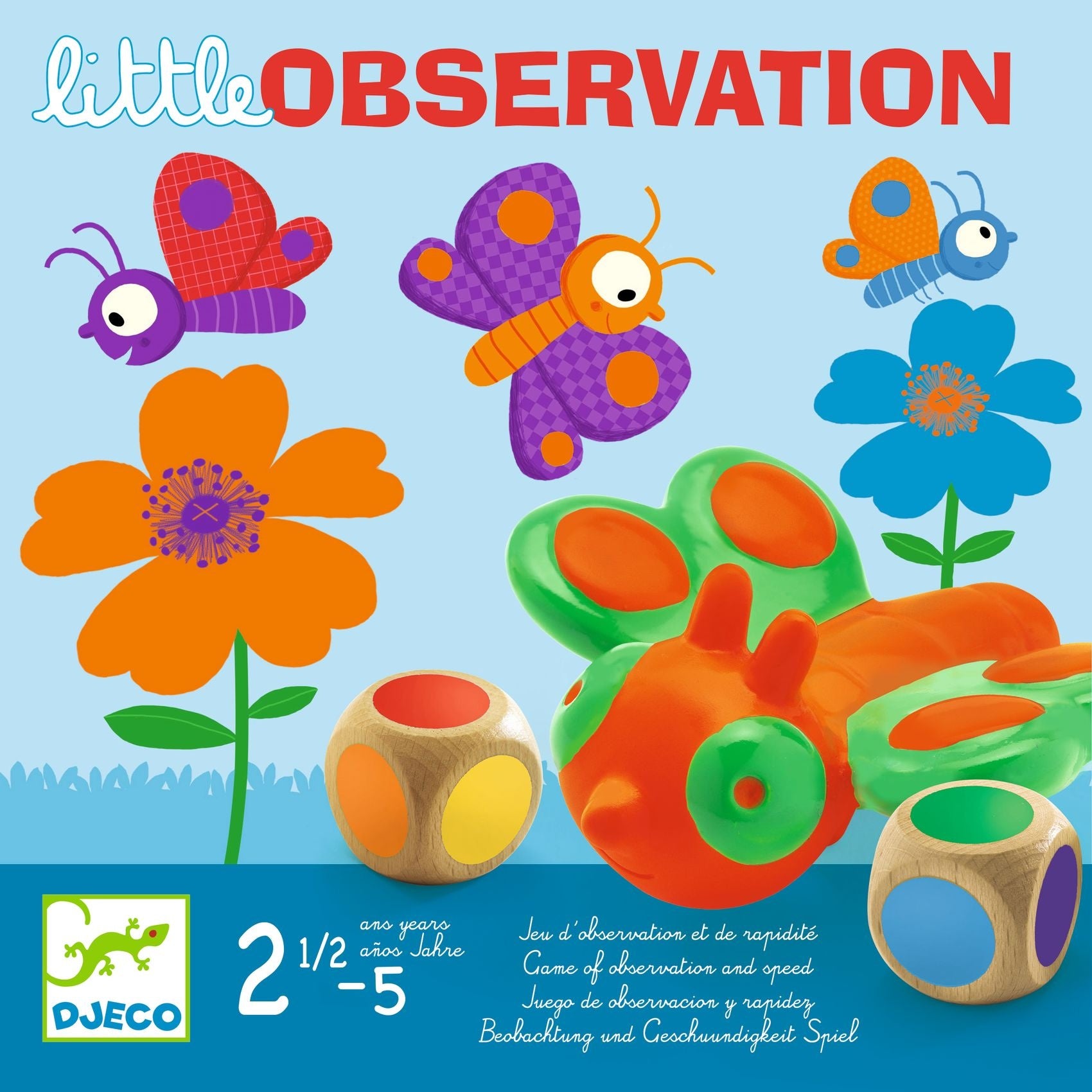 Djeco | Little Observation - Samenwerkingsspel