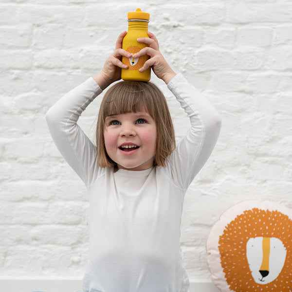 350ml Drink Bottle - Mr. Lion - Trixie