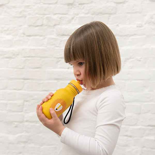 350ml Water Bottle - Mr. Lion - Trixie