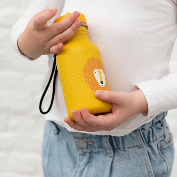 350ml Drinking Bottle - Mr. Lion - Trixie