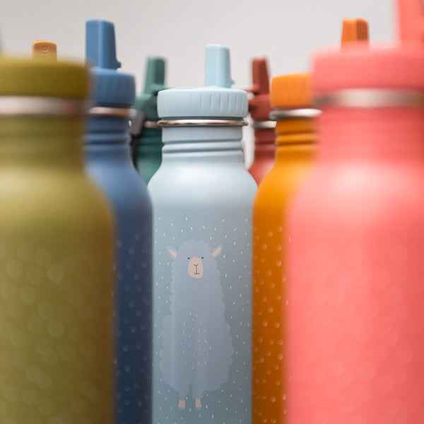 500ml Drinking Bottle - Mr. Dino - Trixie