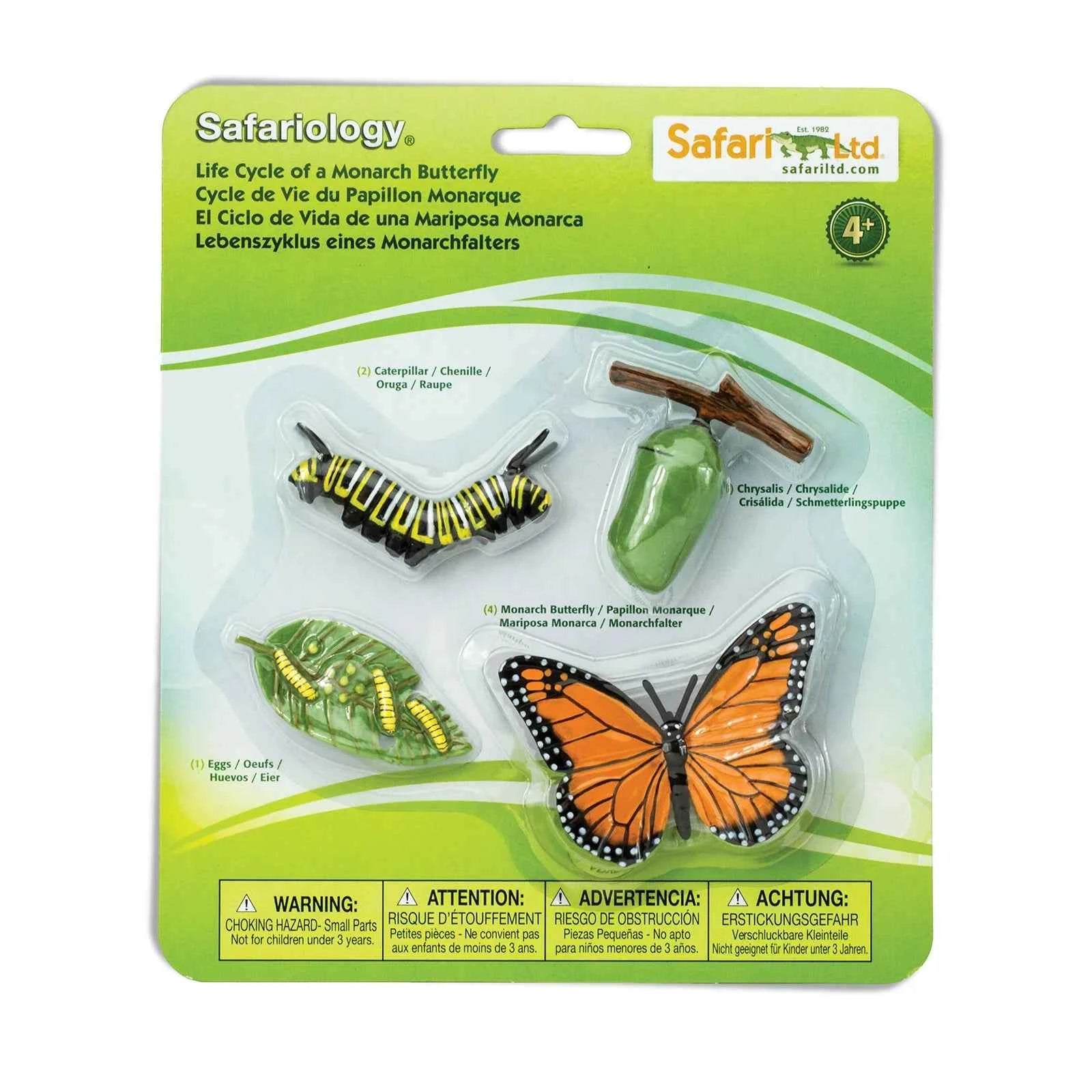 Safari Ltd. | Life Cycle of a Monarch Butterfly
