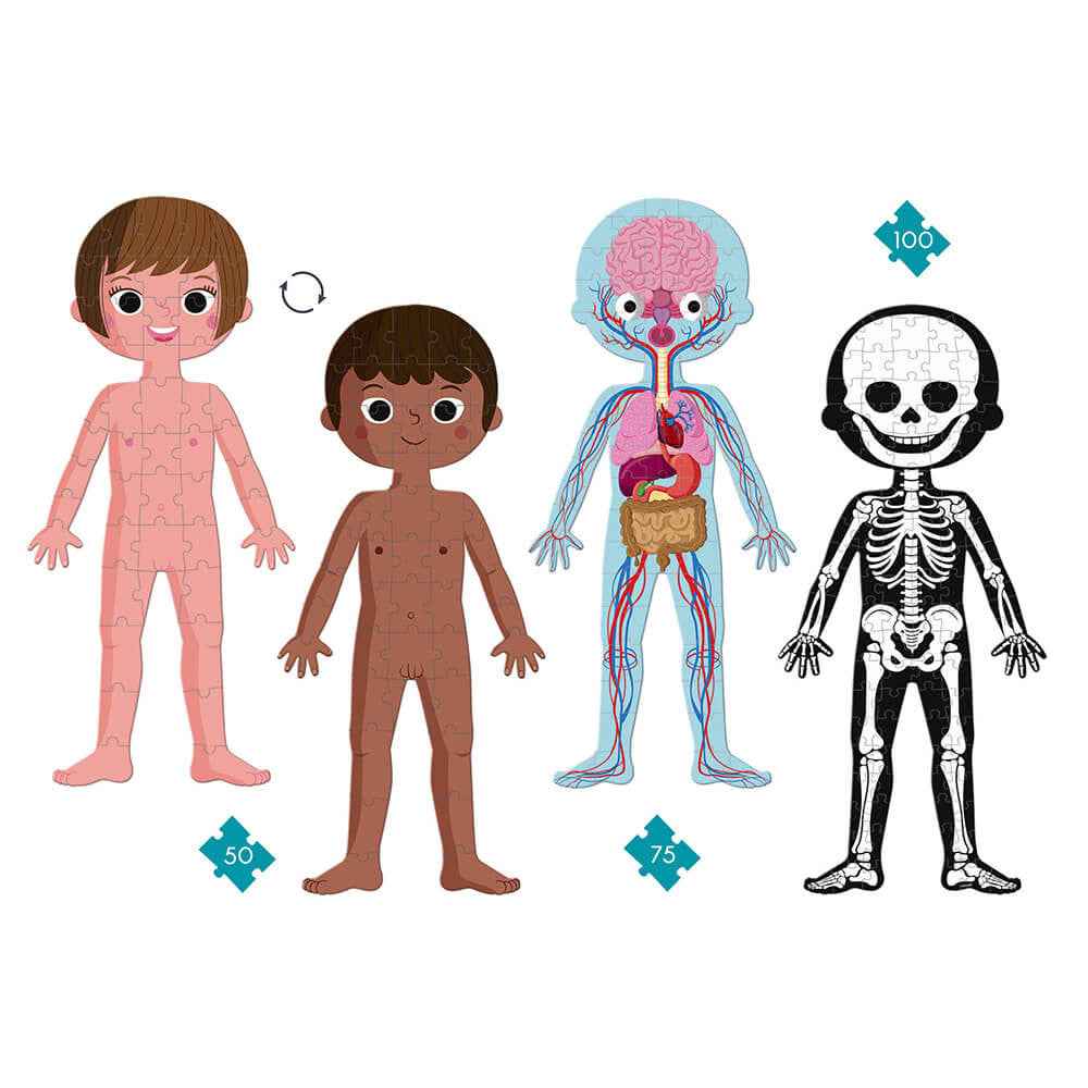 Janod | Educational Human Body Puzzle