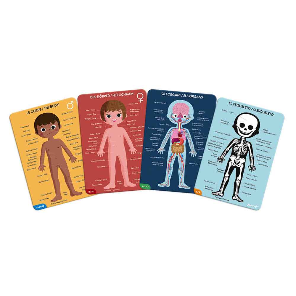Janod | Educational Human Body Puzzle