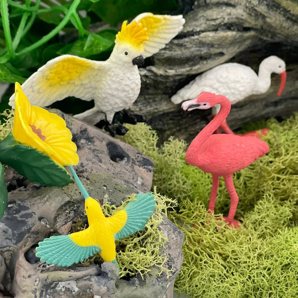 Safari Ltd. | Speelfiguren Exotische vogels