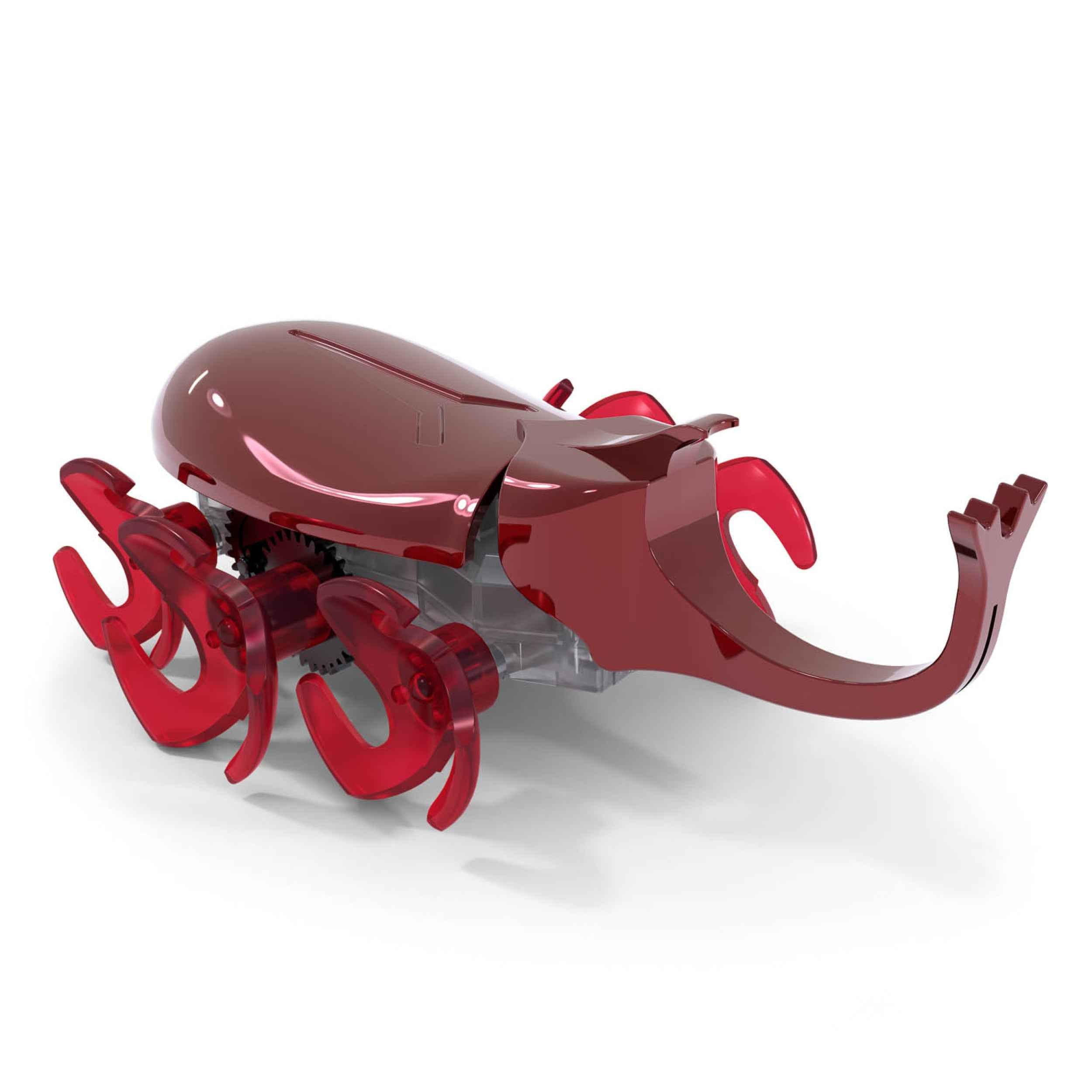 Hexbots | rhino beetle & scarab