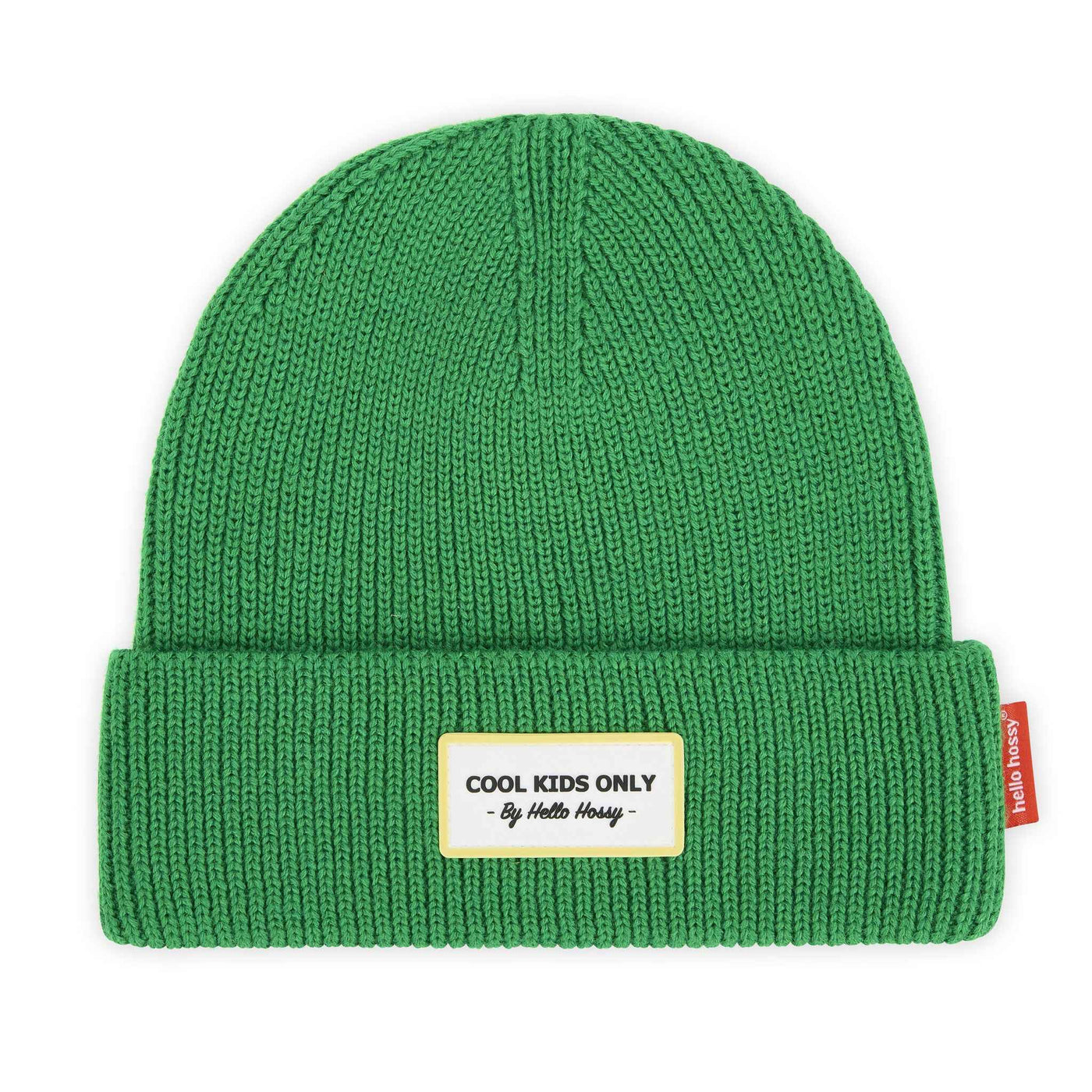 Hello Hossy Beanie Pop Croco Dad