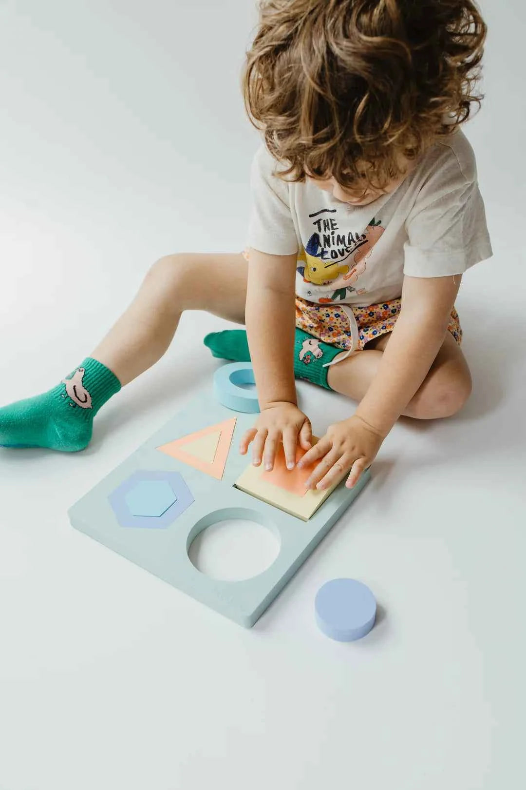 Moes Educational Geometric Puzzle