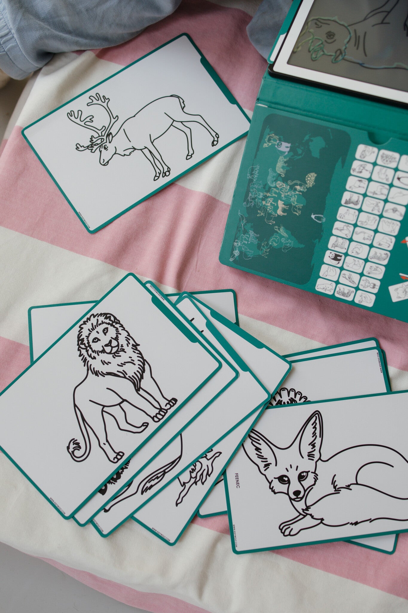 Kidywolf | Kidydraw Mini Tekentablet  Animals Around The World Groen