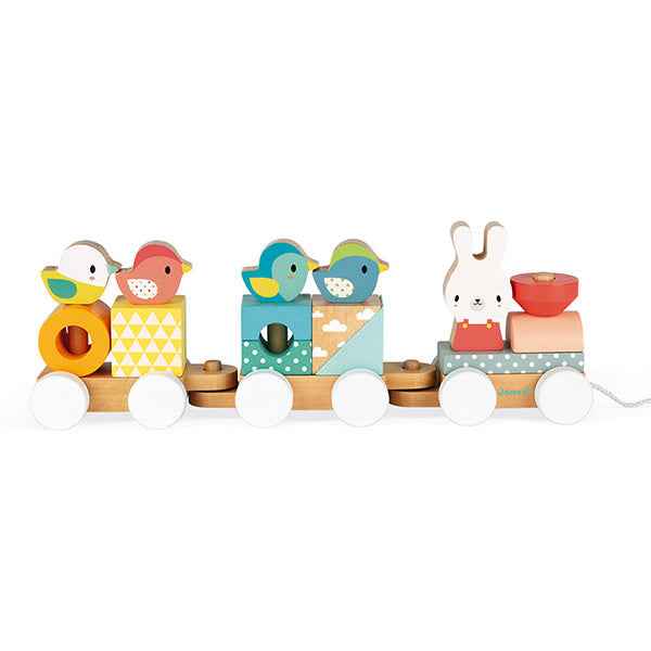 Janod Pure Block Train