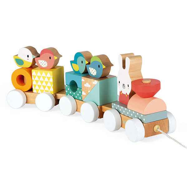 Janod Pure Block Train