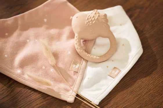 Jollein | Slab Bandana Twinkling Wild Rose (2Pack)