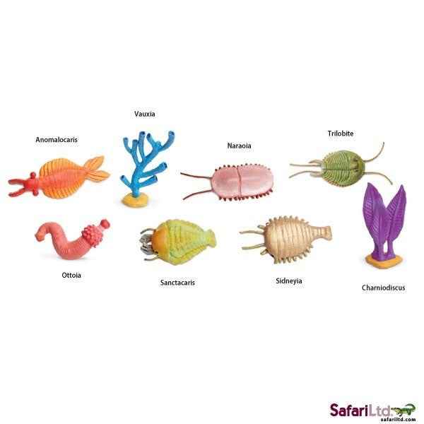 Safari Ltd. | Speelfiguren Cambrium Leven