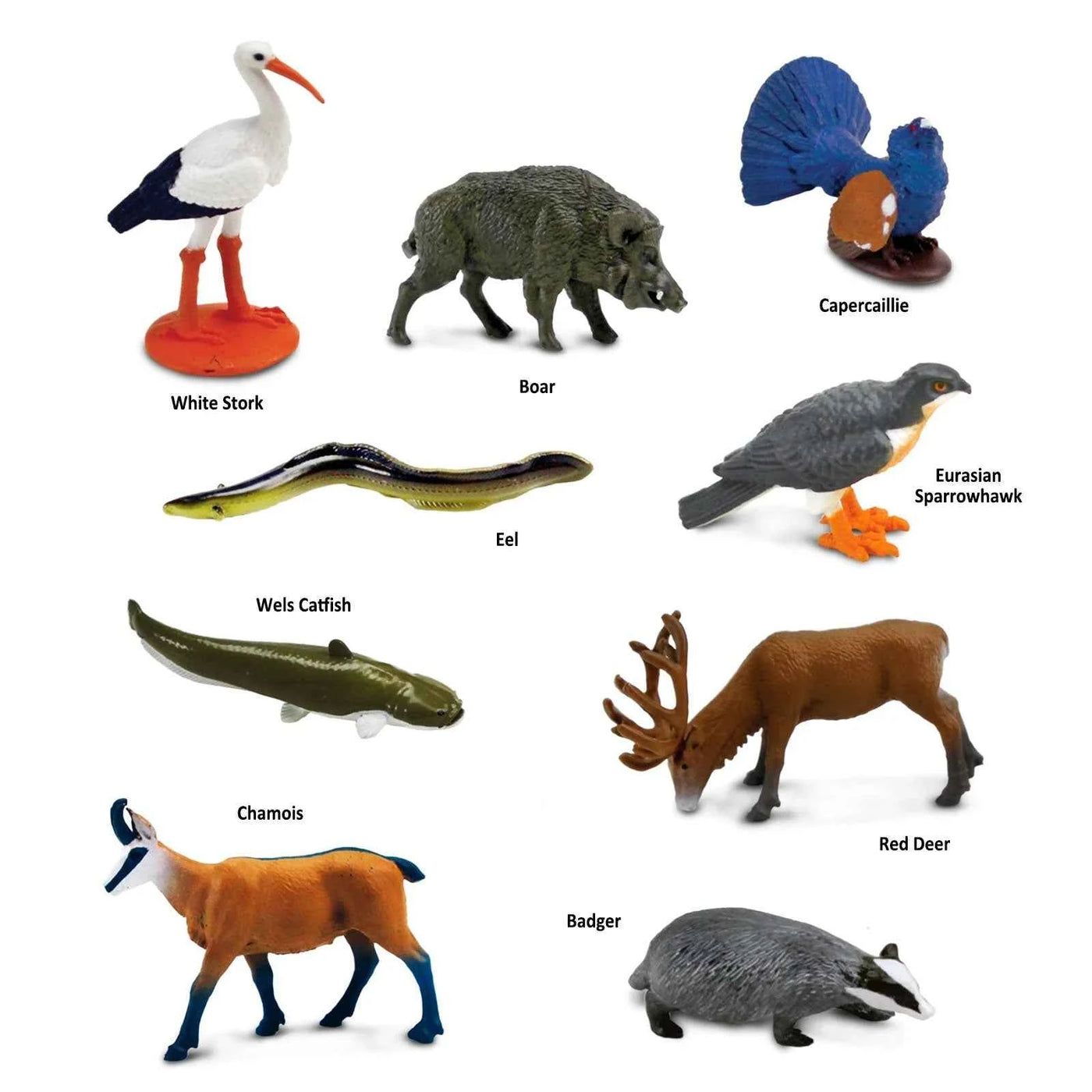 Safari Ltd. | European Animal Toy Figures
