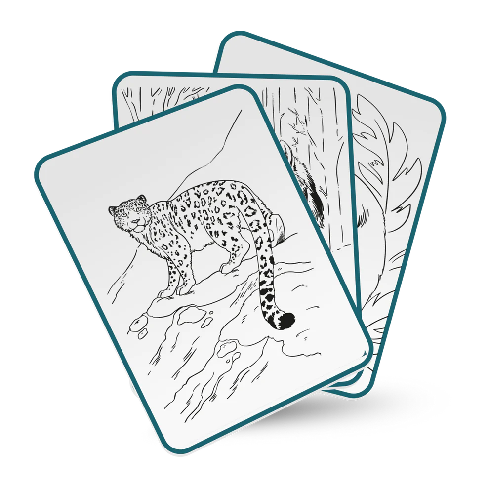 Kidywolf | Kidydraw Pad Animals 8Y+