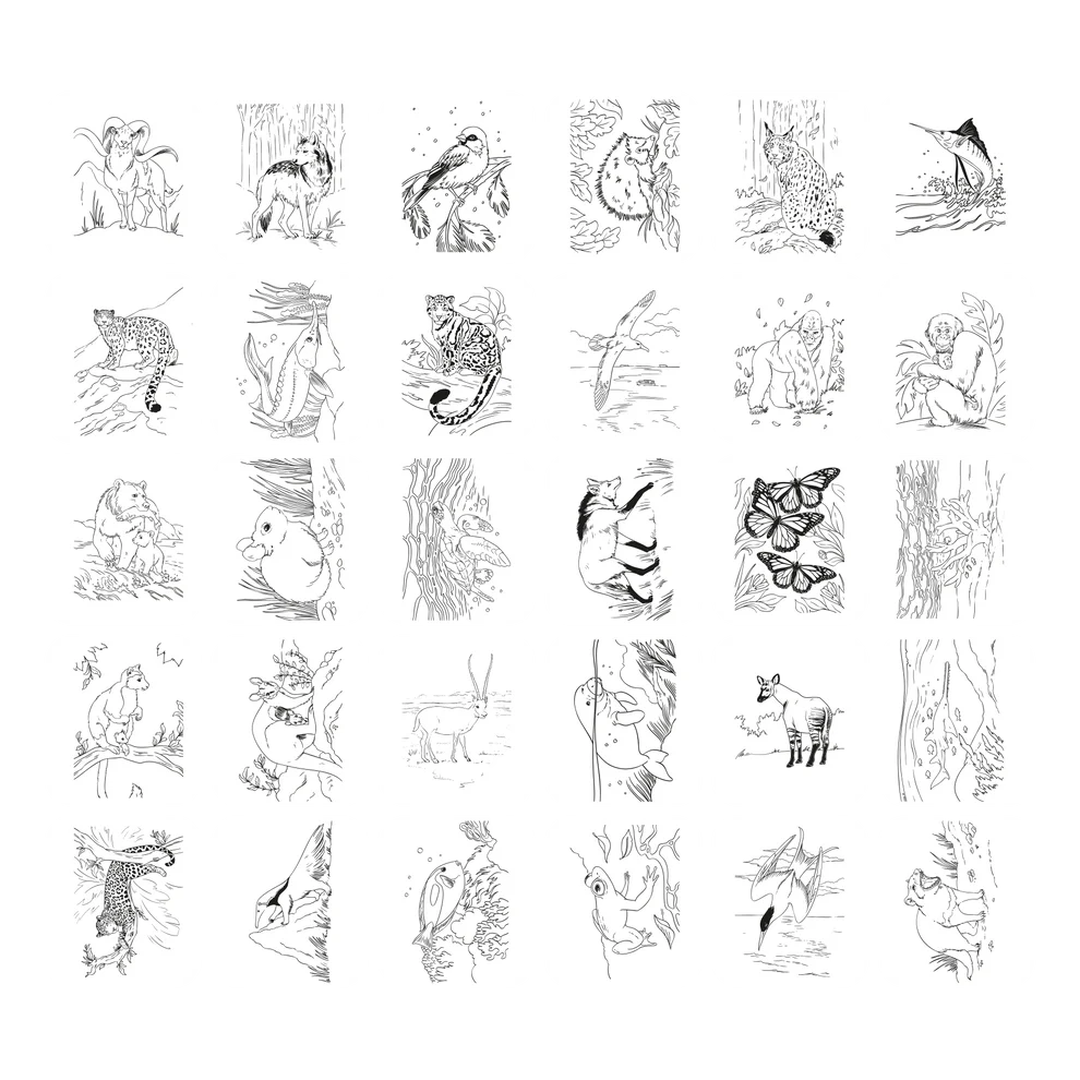 Kidywolf | Kidydraw Pad Animals 8Y+