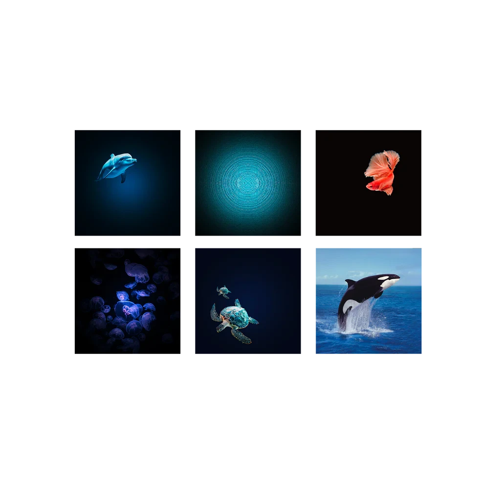 Kidywolf | Kidystar Beeldprojector Oceanen en zeeÃ«n