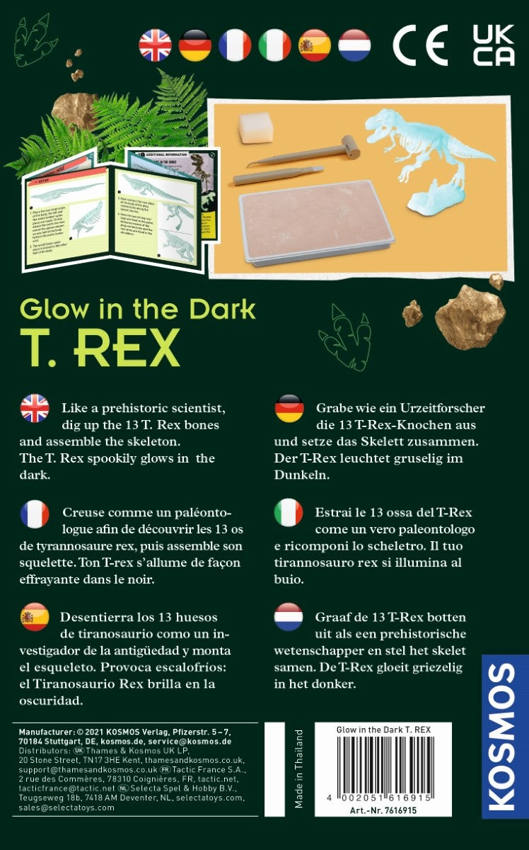 Kosmos | Glow in the Dark T-Rex