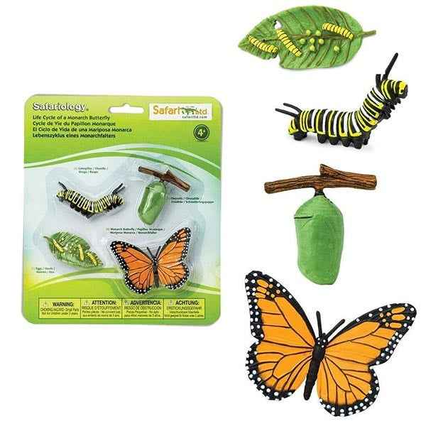 Safari Ltd. | Life Cycle of a Monarch Butterfly