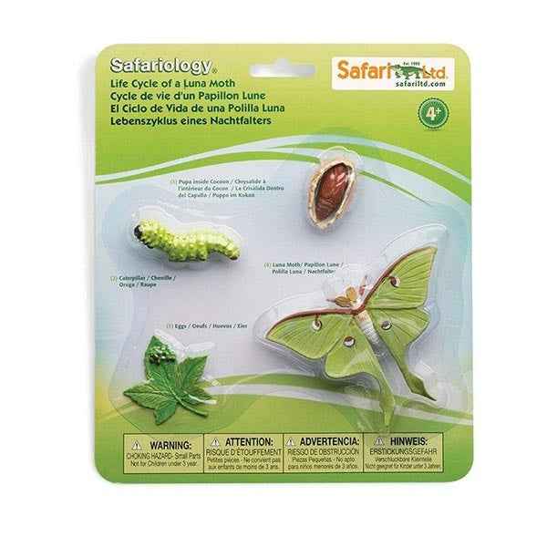 Safari Ltd. | Levenscyclus Van Een Maanvlinder
