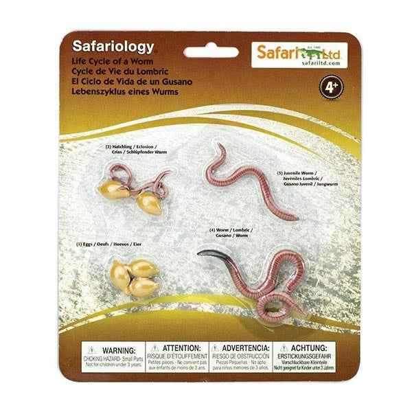Safari Ltd. | Life Cycle of a Worm