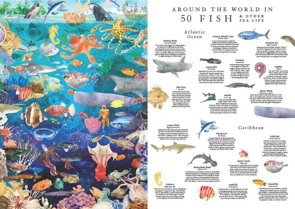 New Mags | 1000-Piece Round Around the World in 50 Fish Jigsaw Puzzle