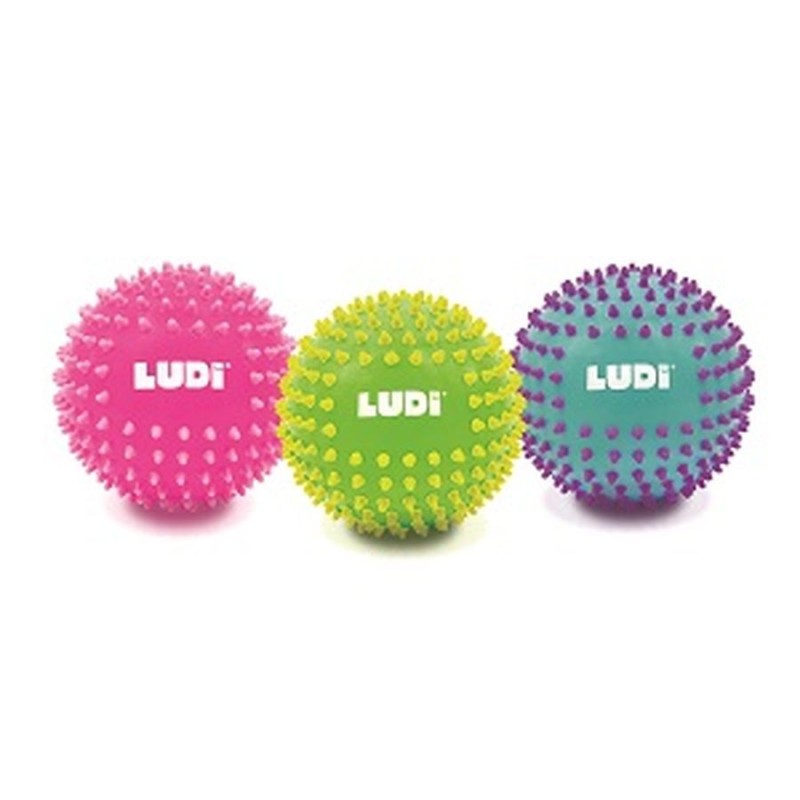 Ludi | Bal Sensorische Ballen Ø 15cm 1pcs
