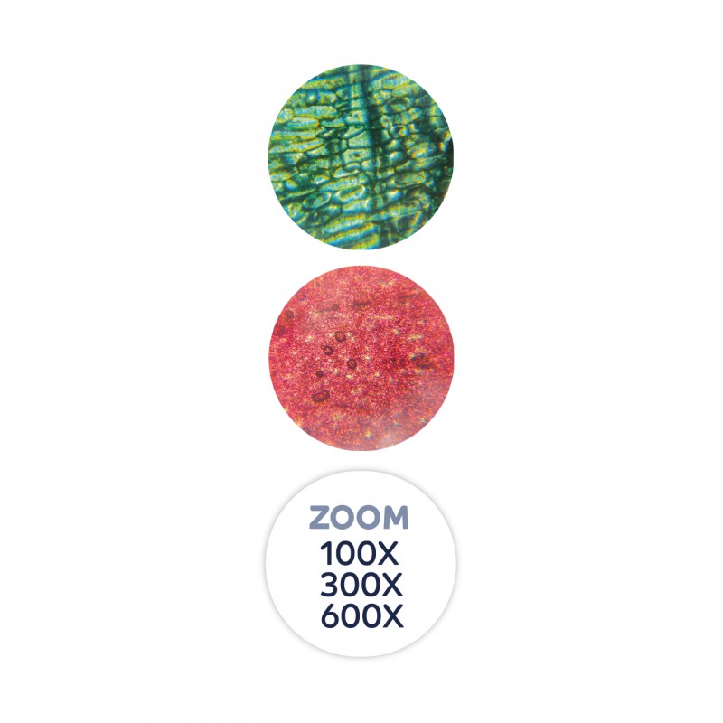 Buki | microscoop 20 experimenten