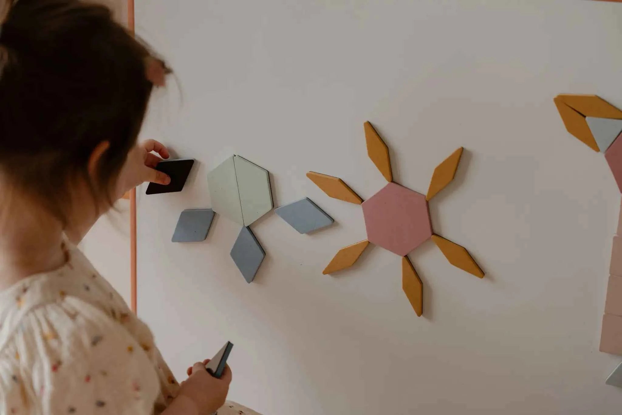 Moes Play | Magnetic Puzzle