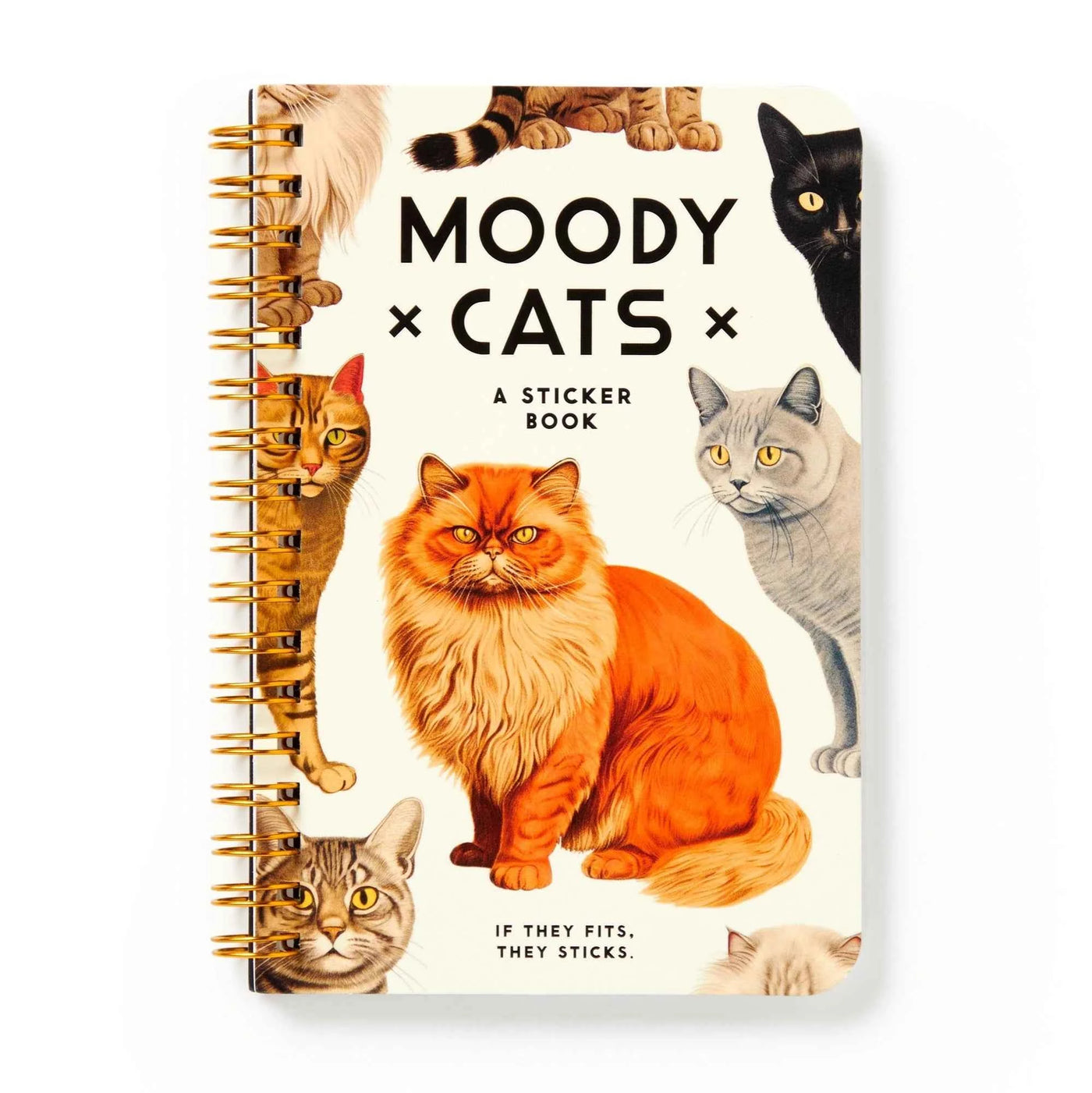 New Mags | Moody Cats Stickerboek