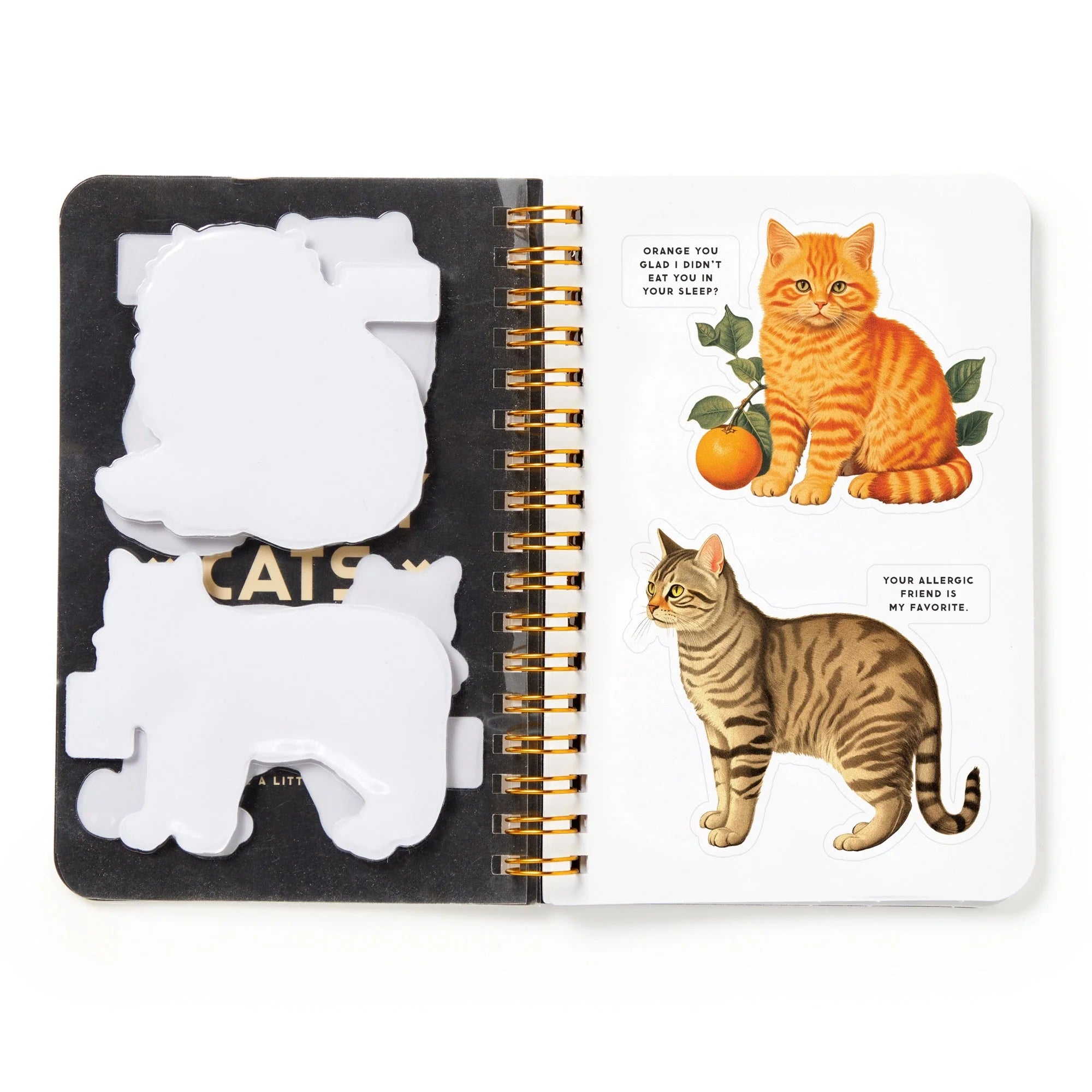 New Mags | Moody Cats Stickerboek