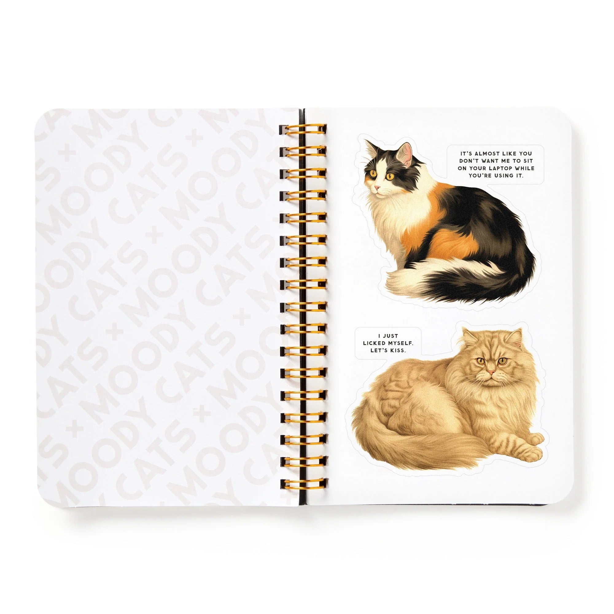 New Mags | Moody Cats Stickerboek