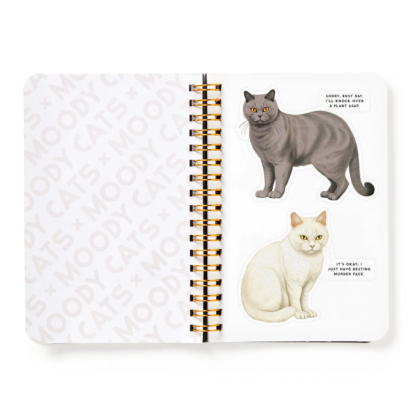 New Mags | Moody Cats Stickerboek