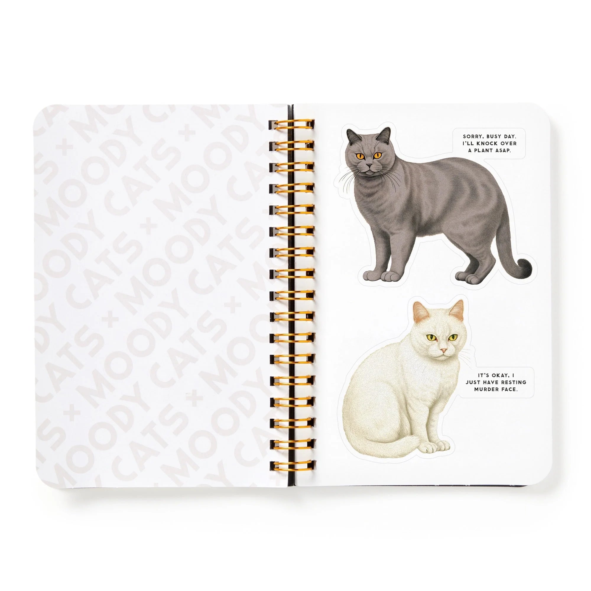 New Mags | Moody Cats Stickerboek