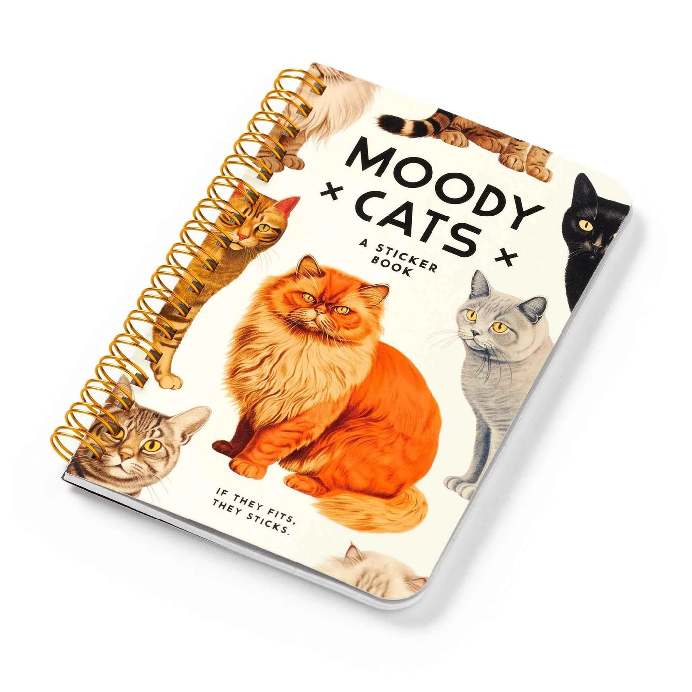 New Mags | Moody Cats Stickerboek