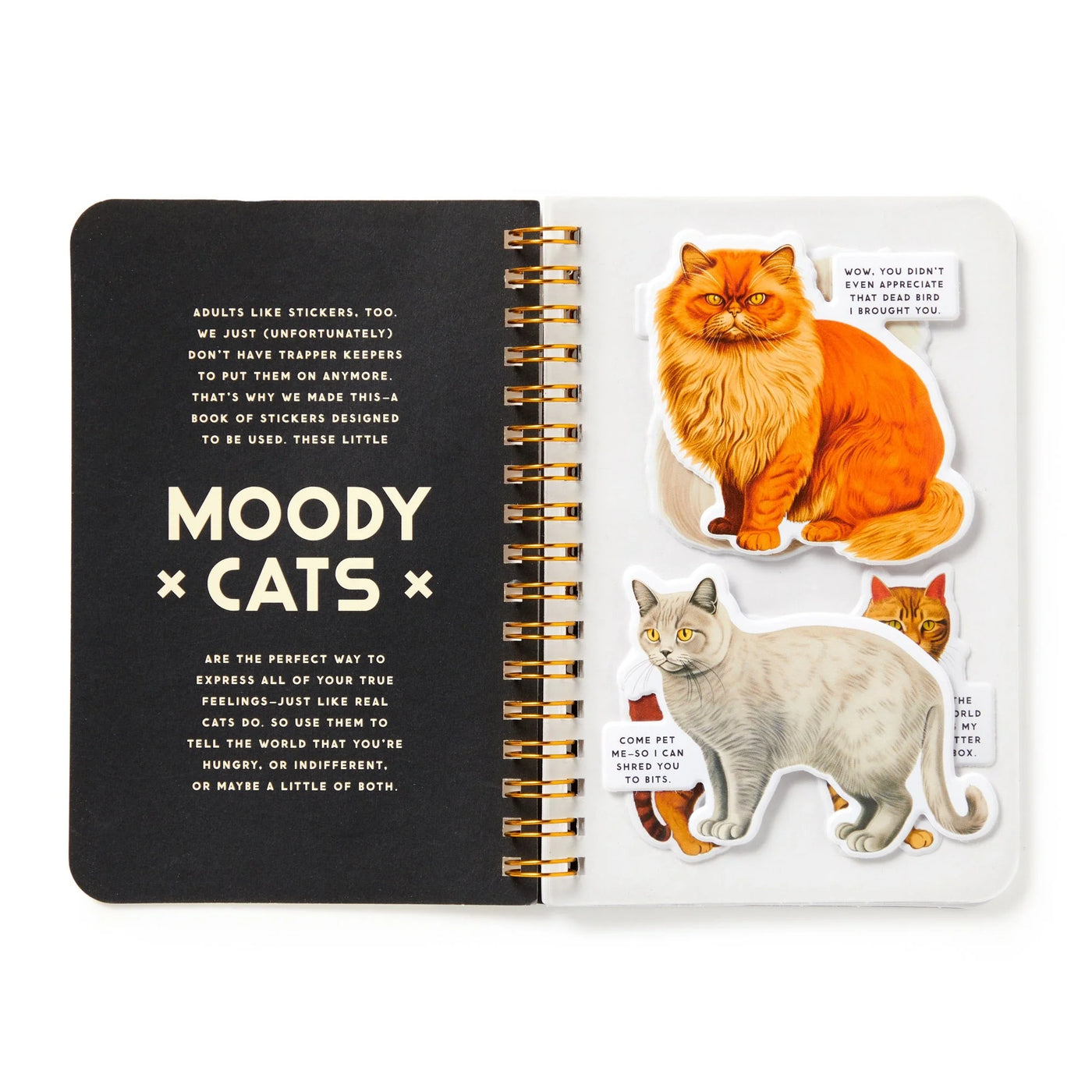 New Mags | Moody Cats Stickerboek